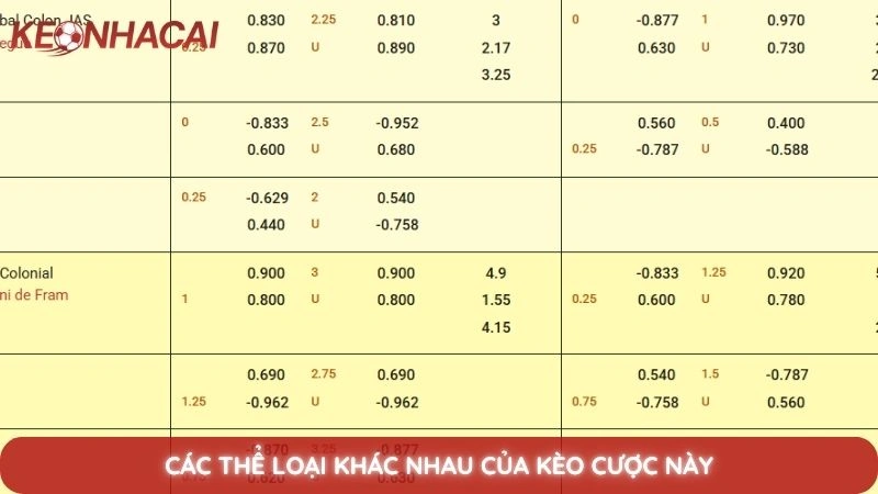 Kèo châu Á là gì? Hướng dẫn đọc kèo chấp từ A-Z chi tiết 3 Các thể loại khác nhau của kèo cược này