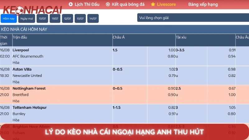 kèo nhà cái - Hình 1