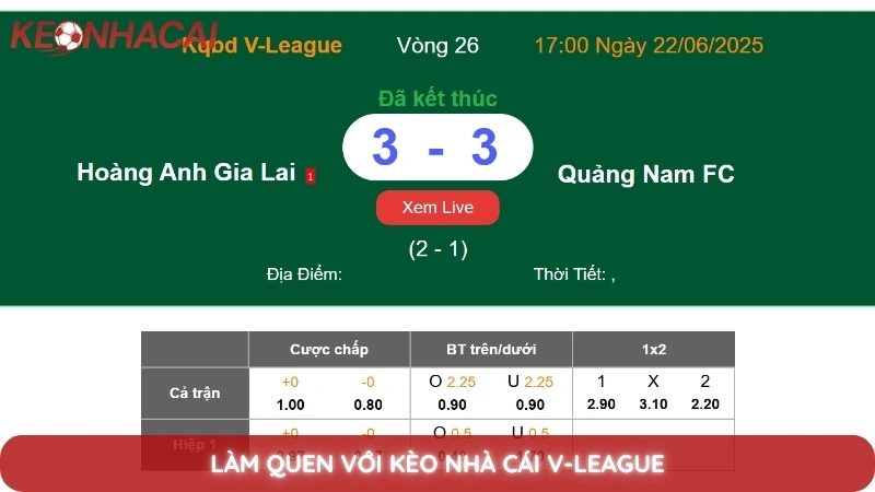 Kèo Nhà Cái V-League 1 Làm quen với kèo nhà cái V-League