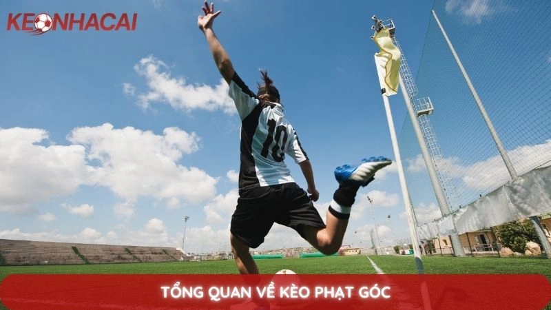 Mẹo soi kèo phạt góc: Bắt kèo rung chuẩn xác ít ai biết 2 Tổng quan về kèo phạt góc