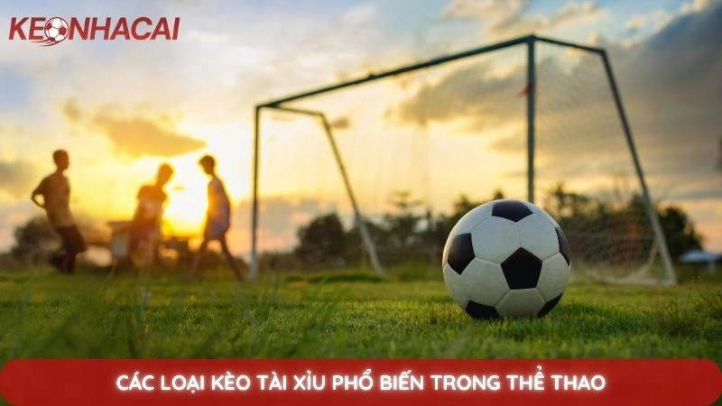 Kèo tài xỉu: Cách bắt kèo rung cực dính khi xem trực tiếp 3 Các loại kèo tài xỉu phổ biến trong thể thao