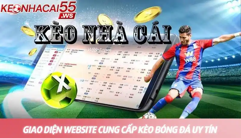 Tip bóng đá miễn phí - Chìa khóa nâng cao tỷ lệ thắng cược 3 Giao diện website cung cấp kèo bóng đá uy tín